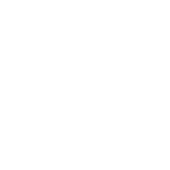 logo-fesminismo-blanco